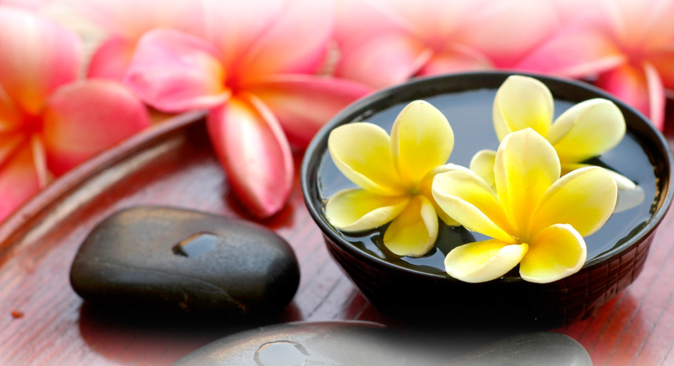 免费轰炸电话软件下载